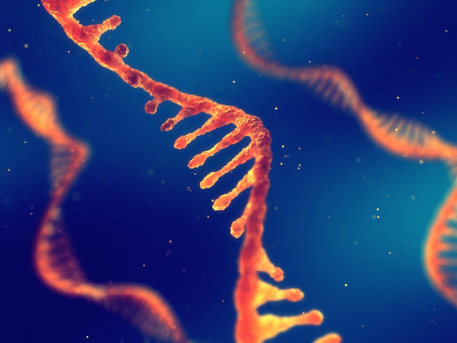 Learn about the innovations in mRNA production with Creative Enzymes.