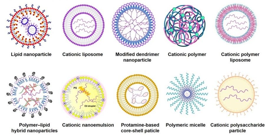 Types of mRNA delivery systems: lipid nanoparticle, cationic liposome, modified dendrimer nanoparticle, cationic polymer, and cationic polymer liposome.