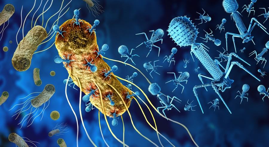 3D illustration of bacteriophages preying on bacteria.