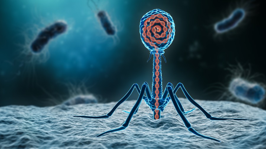 3D illustration of bacteriophage.