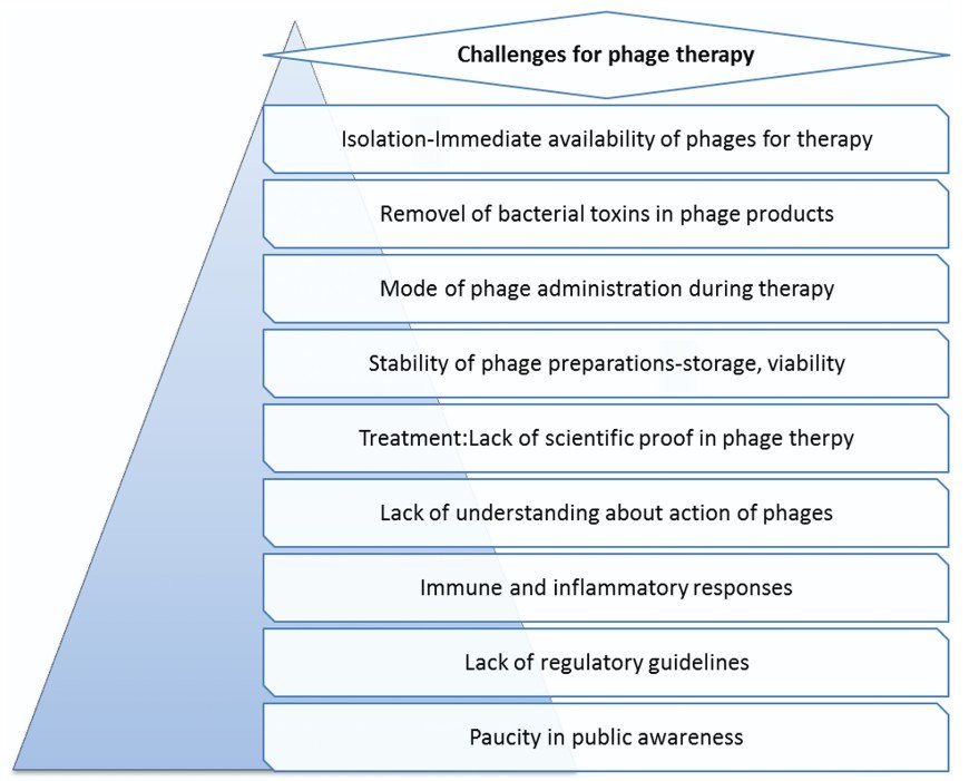 Challenges for phage therapy including isolation, removal of bacterial toxins, mode of phage administration, stability, lack of scientific evidence, immune and inflammatory responses, lack of regulatory guidelines, lack of public awareness.