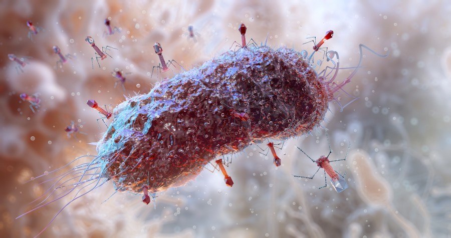 3D illustration of a bacteriophage attacking a bacterium.