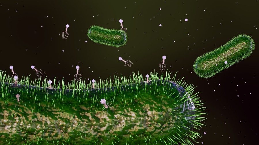 3D illustration of bacteriophages and bacteria.