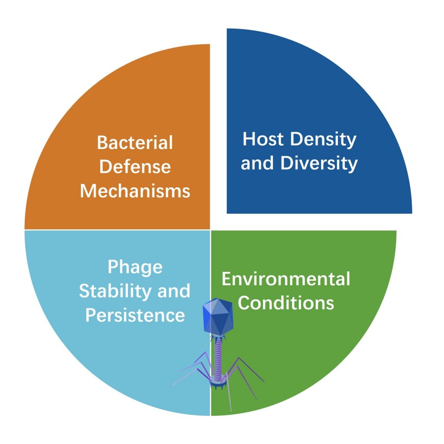 Factors influencing phage transmission: host density and diversity, environmental conditions, phage stability and persistence, and bacterial defense mechanisms.