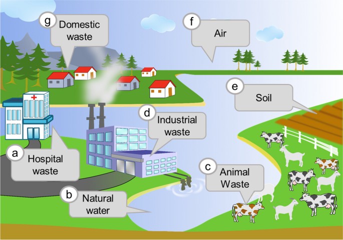 Bacteriophages in nature: hospital waste, natural water, animal waste, industrial waste, soil, air, and domestic waste.