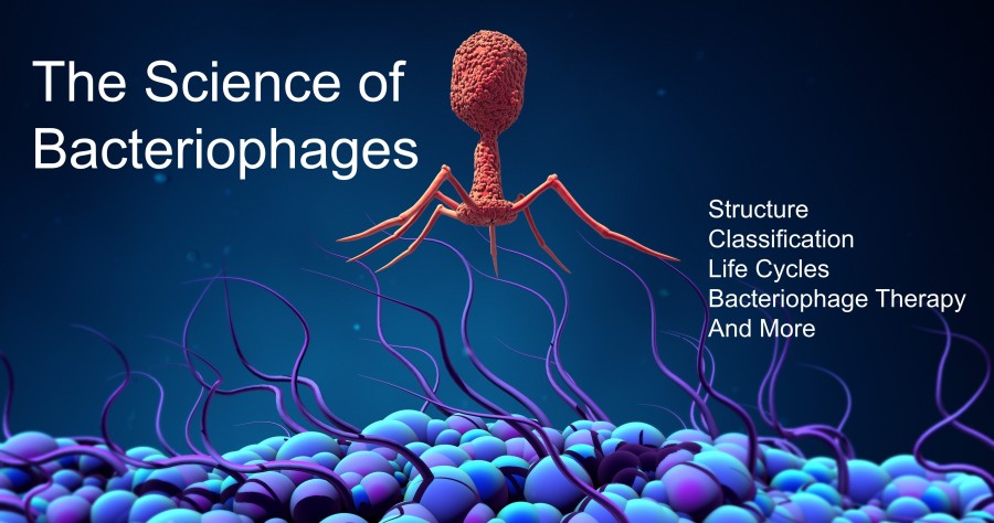 The Science of Bacteriophages
