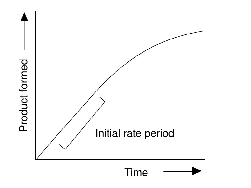 Initial rate determination in enzyme kinetics