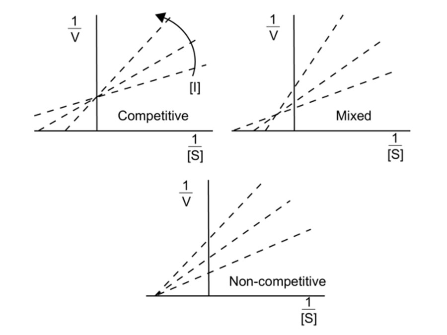Enzyme inhibition studies for kinetic characterization