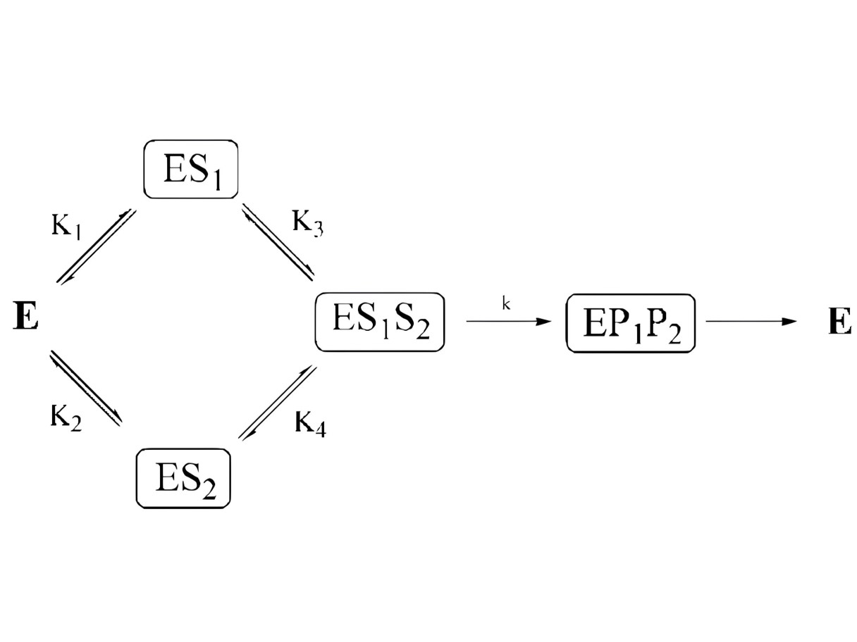 Multi-substrate enzyme kinetics analysis