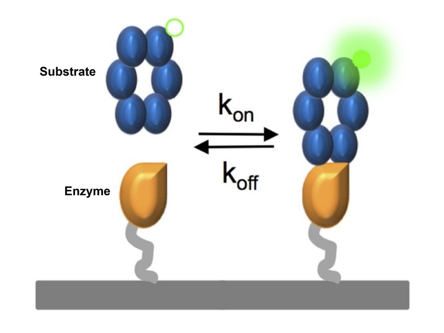 Single-molecule enzyme kinetics analysis