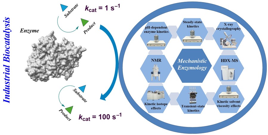 Methods in mechanistic enzymology driving industrial biocatalysis development