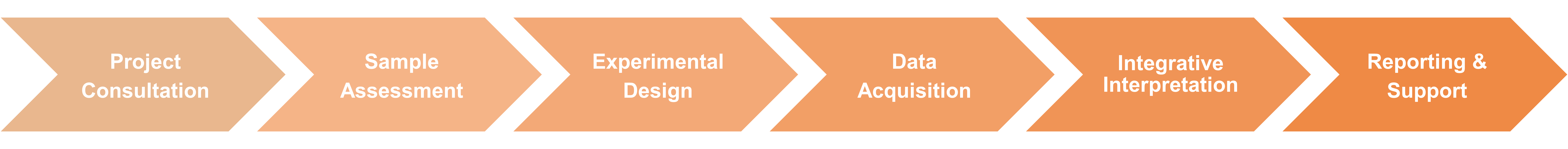 Workflow of integrative structural and functional enzyme analysis service