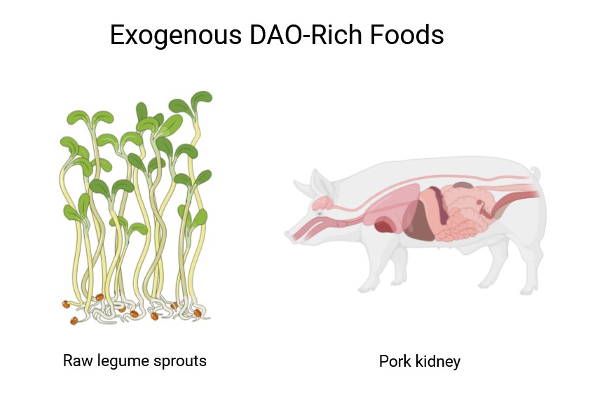 Raw legume sprouts and pork kidneys are rich in diamine oxidase.