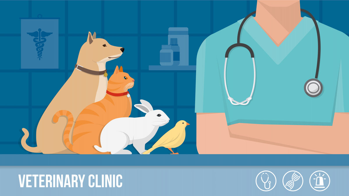 A veterinary perspective on using pancreatin to treat exocrine pancreatic insufficiency in dogs and cats.
