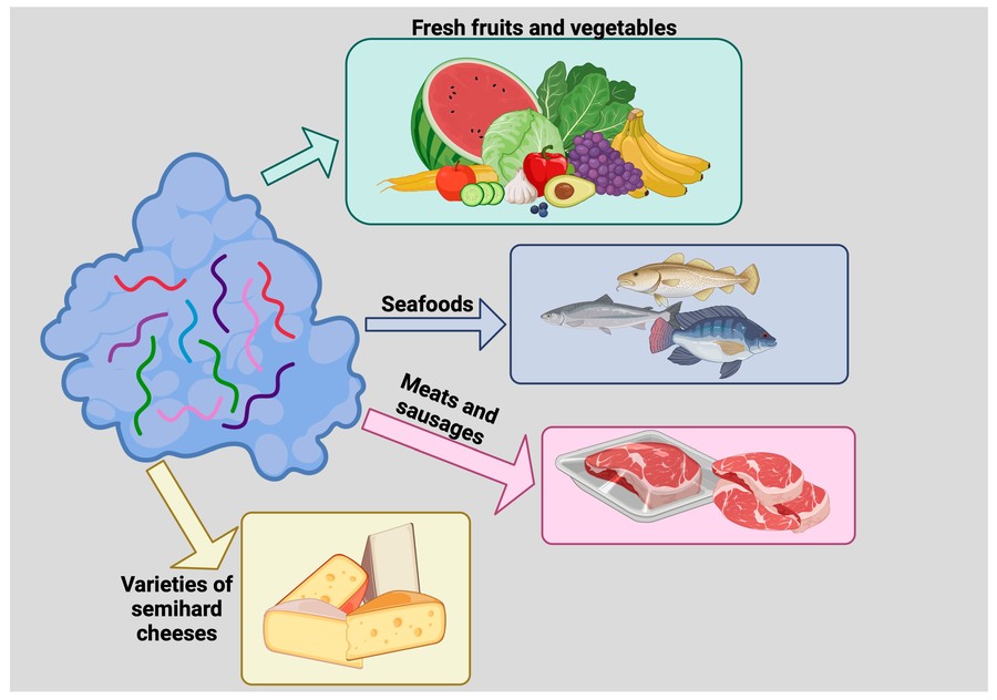 Applications of lysozyme in food and beverage.