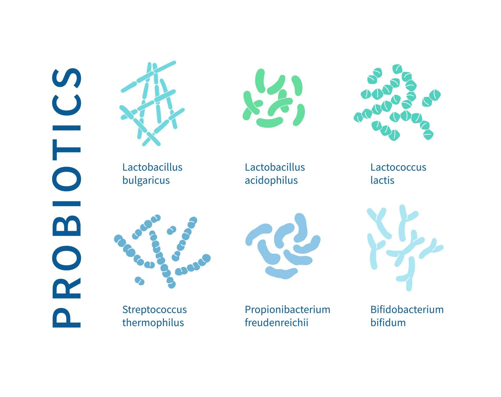 Examples of probiotics.