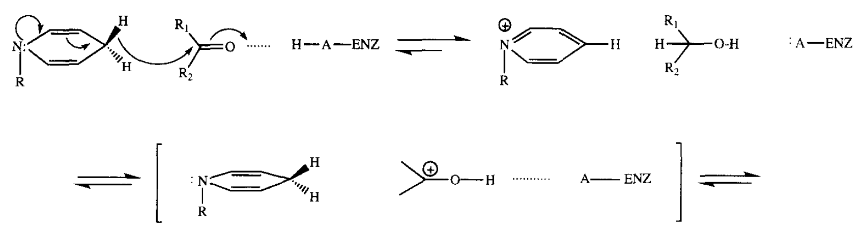 3α-Hydroxysteroid Dehydrogenase