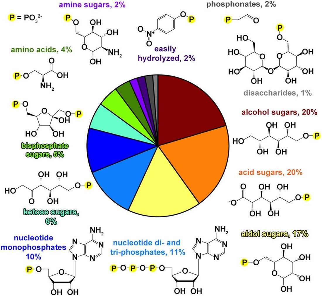 Example of a phosphatase substrate library