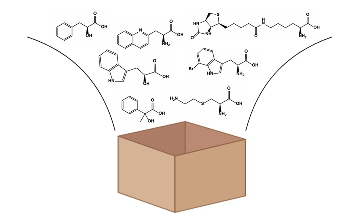 Construction of enzyme substrate libraries for identifying the optimal enzymatic reaction substrate