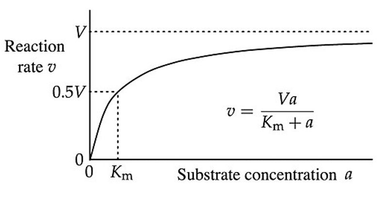 Michaelis–Menten kinetic analysis of enzyme–substrate interactions