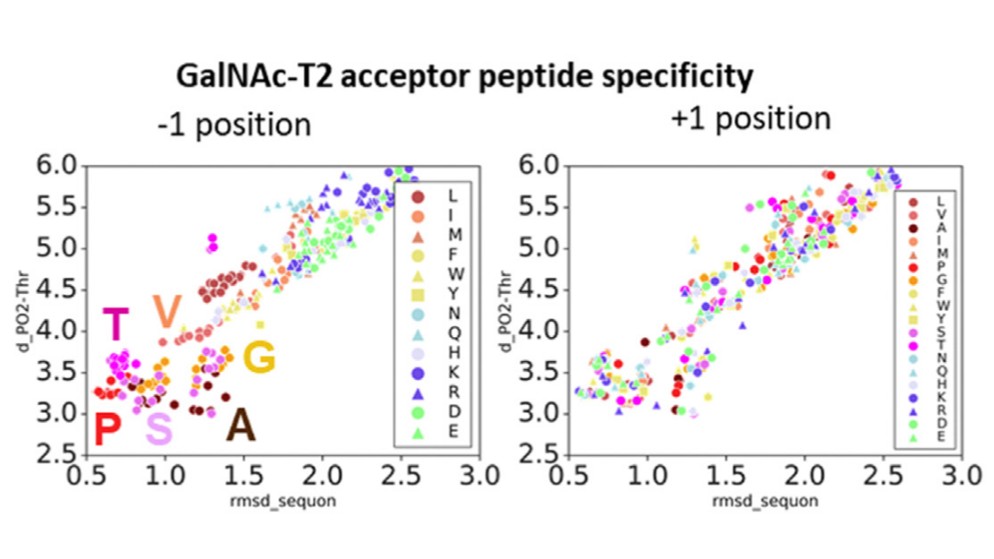 Computational modeling and simulation of engineered enzymes (Mendoza and Masgrau, 2021)