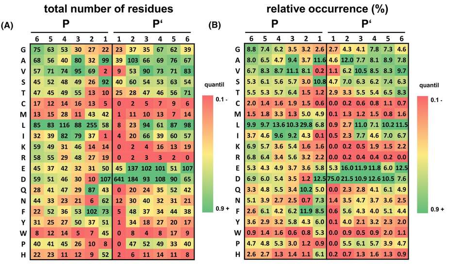 Structural study of ovastacin specificity in astacin metalloproteinases