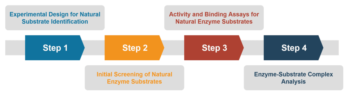Full-service process for Creative Enzymes’ natural substrate identification services