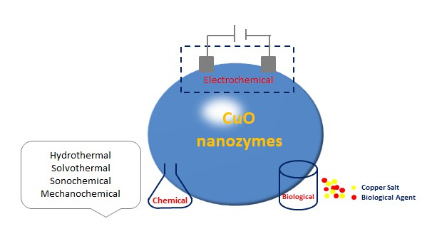 Synthesis of copper oxide nanozymes.