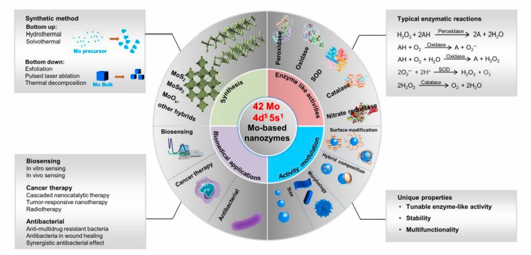 Construction of Molybdenum-Based Nanozymes