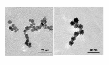 Construction of Platinum-Based Nanozymes