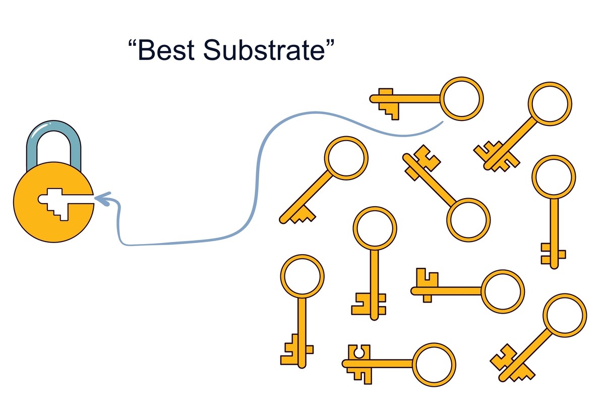 Screening and identification of the best substrate for an enzymatic reaction
