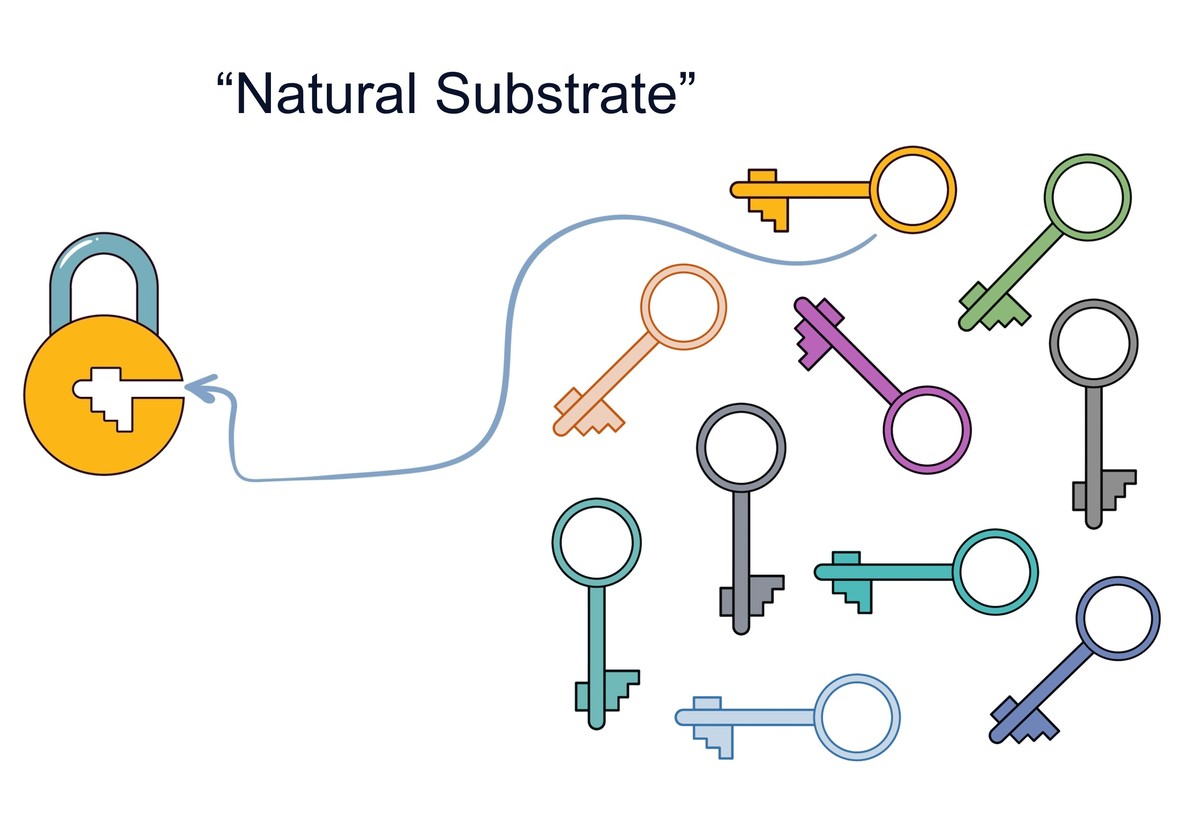 Screening and identifications of natural substrates for a target enzyme