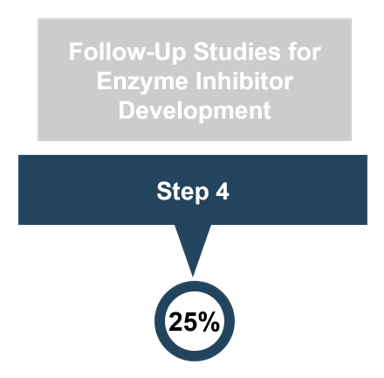 Step 4 workflow—follow-up studies for enzyme inhibitor development