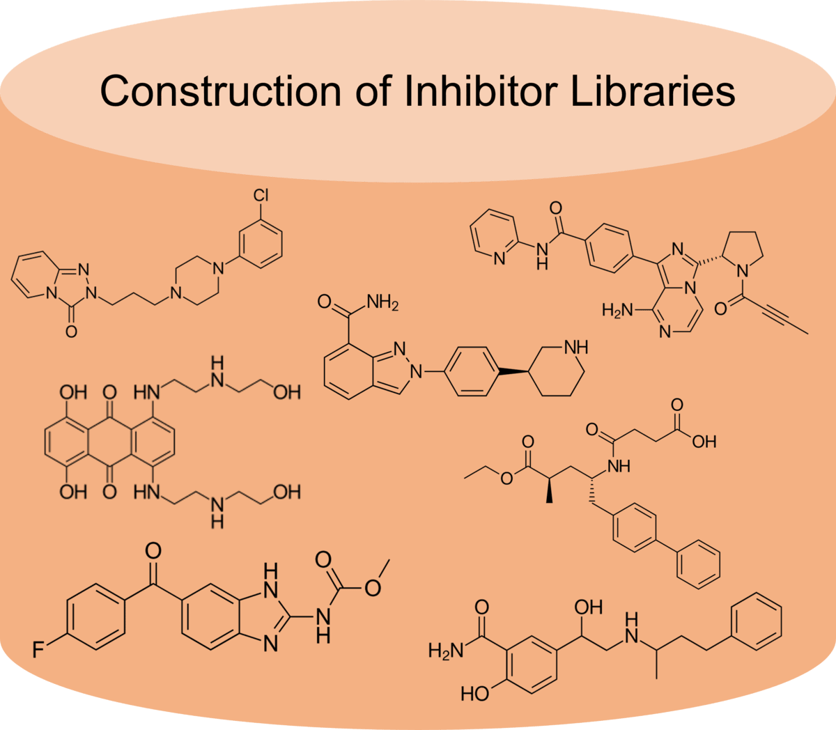 Construction of inhibitor libraries for enzyme virtual screening