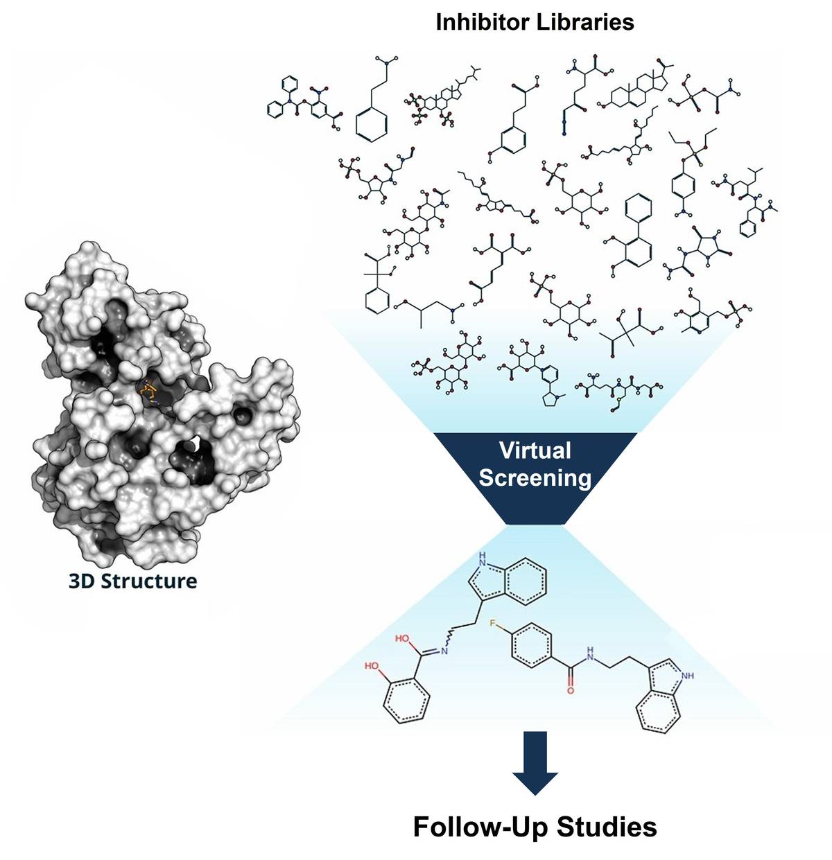 Virtual screening and ranking of potential enzyme inhibitor