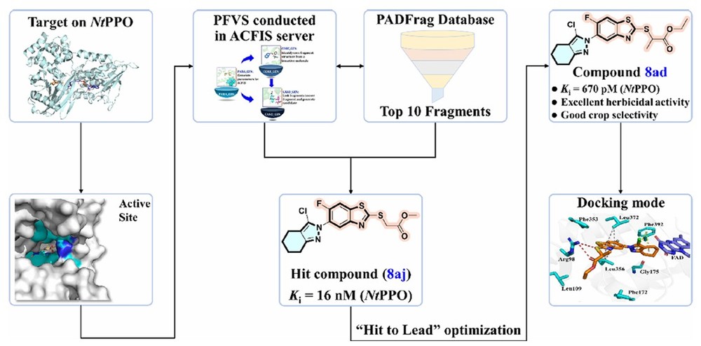 Fragment-based virtual screening for discovery of subnanomolar protoporphyrinogen IX oxidase inhibitor