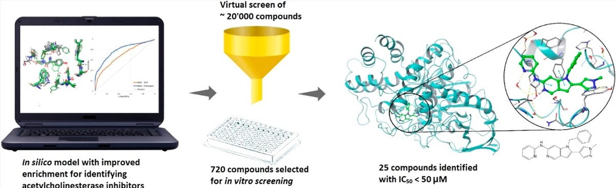 Virtual screening, in vitro assays, and molecular dynamics simulations for novel acetylcholinesterase inhibitors