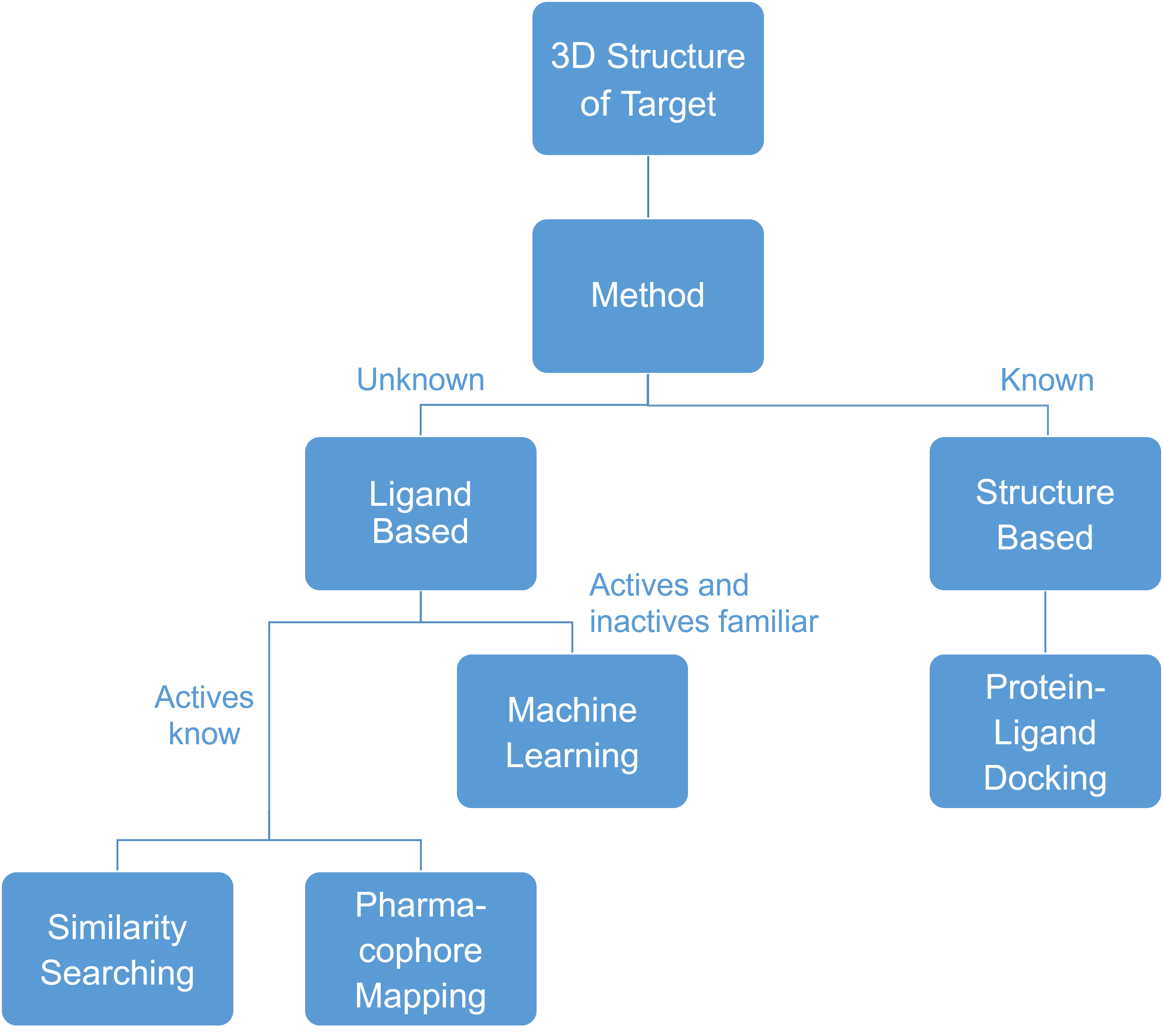 Flow chart illustrating the virtual screening process for enzyme inhibitors