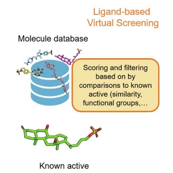Ligand-based virtual screening of enzyme inhibitors (adapted from Song et al., 2021)