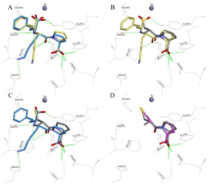 Virtual screening discovery of a potent angiotensin-converting enzyme inhibitor