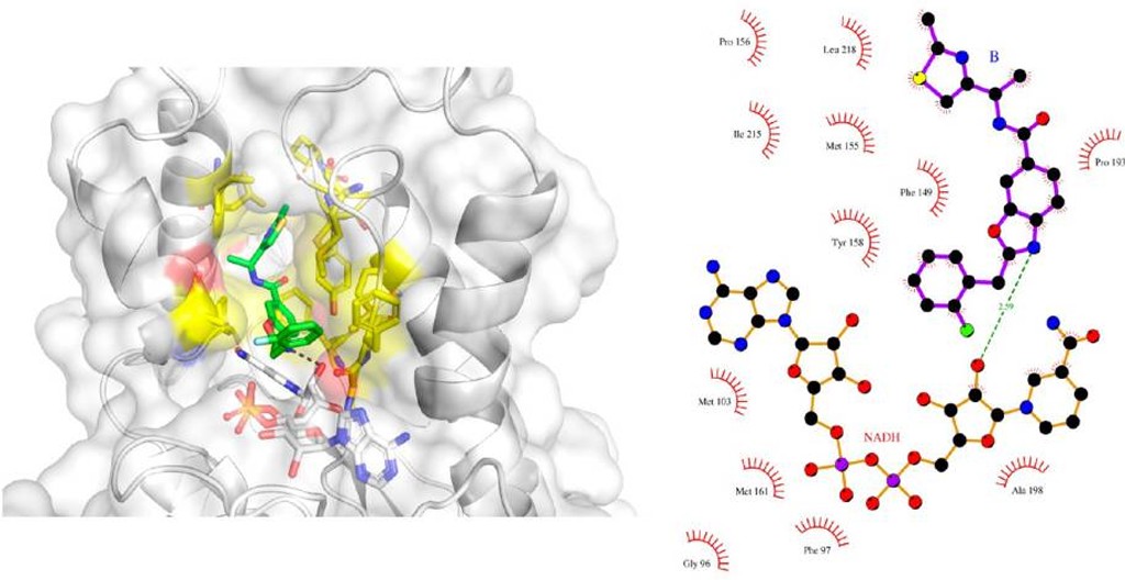Virtual screening and 3D-pharmacophore approach to discover Mycobacterium tuberculosis InhA inhibitors
