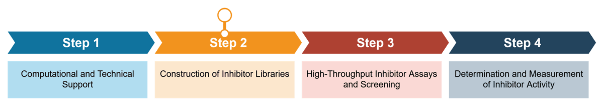 Complete workflow for high-throughput screening of inhibitors