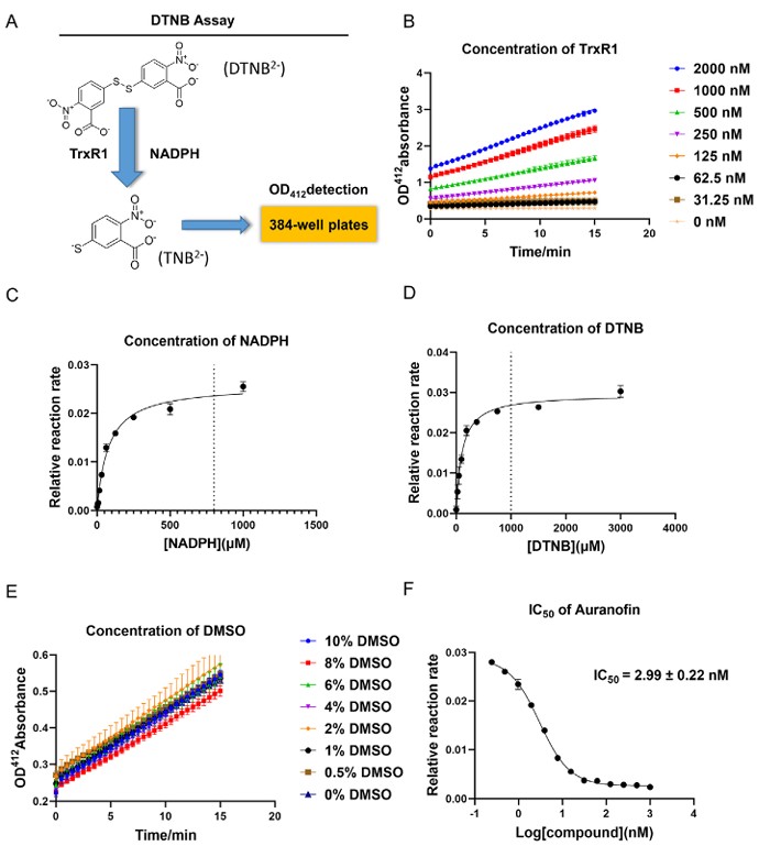 Thimerosal identified as a potent competitive TrxR1 inhibitor via high-throughput screening