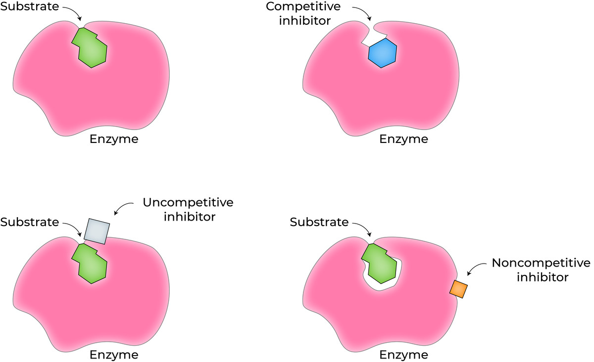 Diagram of enzyme inhibitors and their inhibition mechanisms