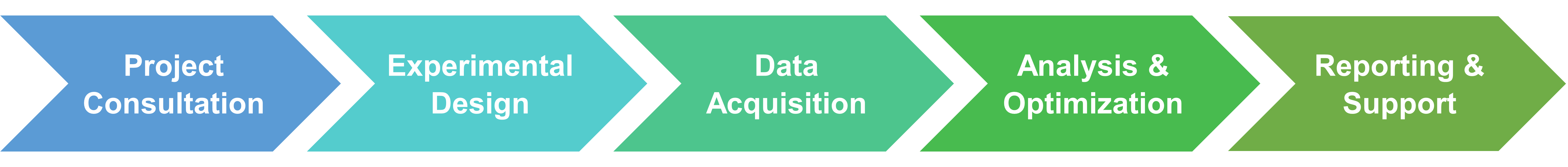 Workflow of Creative Enzymes’ inhibitor screening and design services