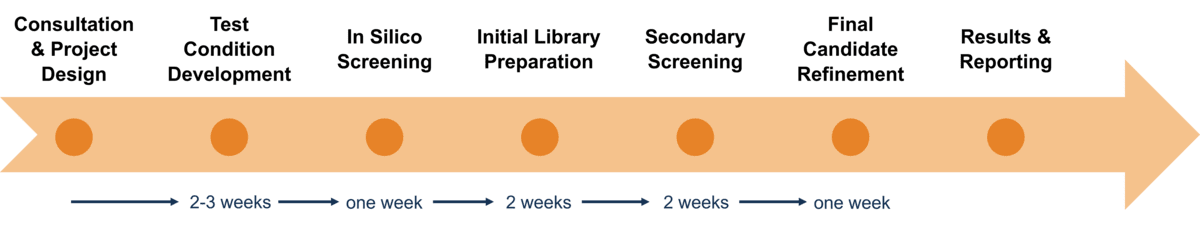 Workflow of Creative Enzymes' services for screening substrates, inhibitors, and ligands