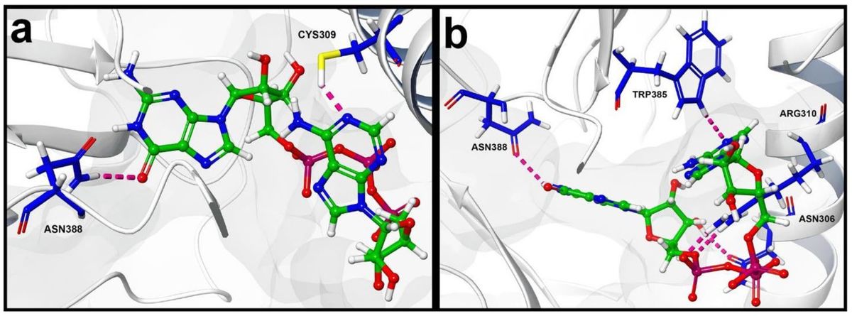 Structure-based virtual screening and molecular dynamics simulation of SARS-CoV-2 NSP14 methyltransferase for antiviral inhibitor discovery