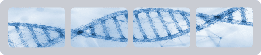 Featured directed evolution services at Creative Enzymes