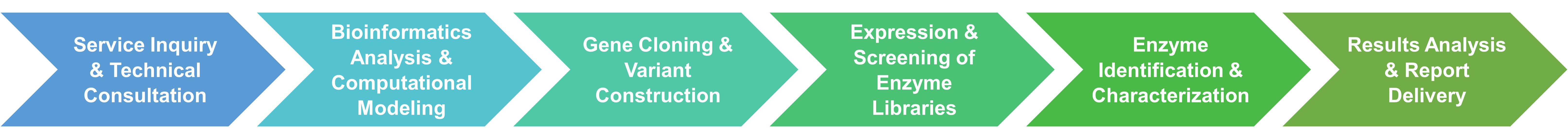 Rational design workflow at Creative Enzymes