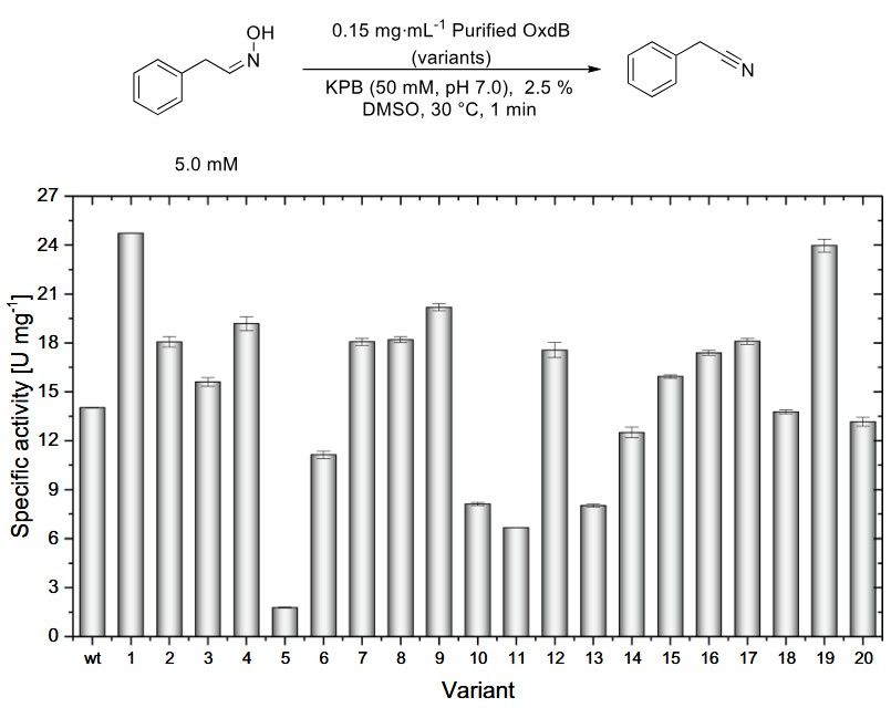 Protein engineering of the aldoxime dehydratase from Bacillus sp. OxB-1 based on a rational sequence alignment approach